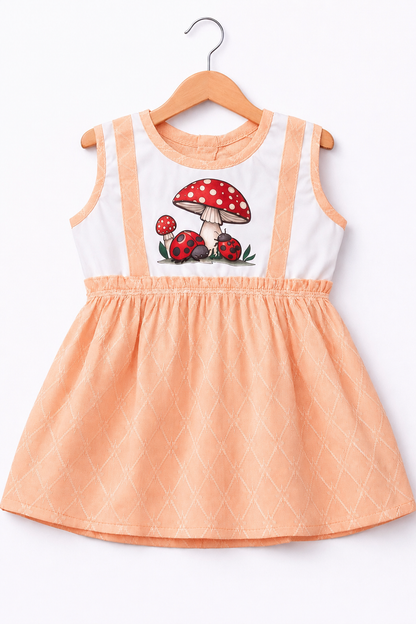 Baby Frocks (6-12 Months) – Girls